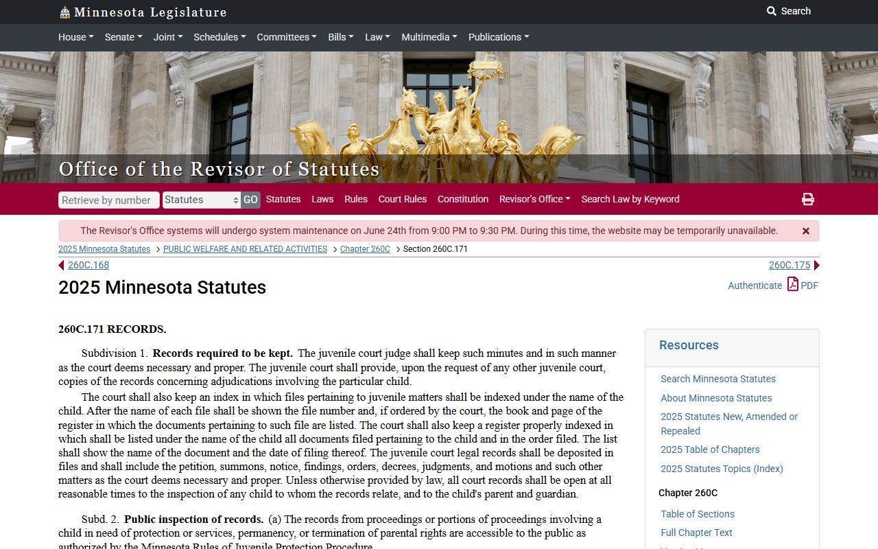 Pope County probate records Minnesota juvenile protection records statute