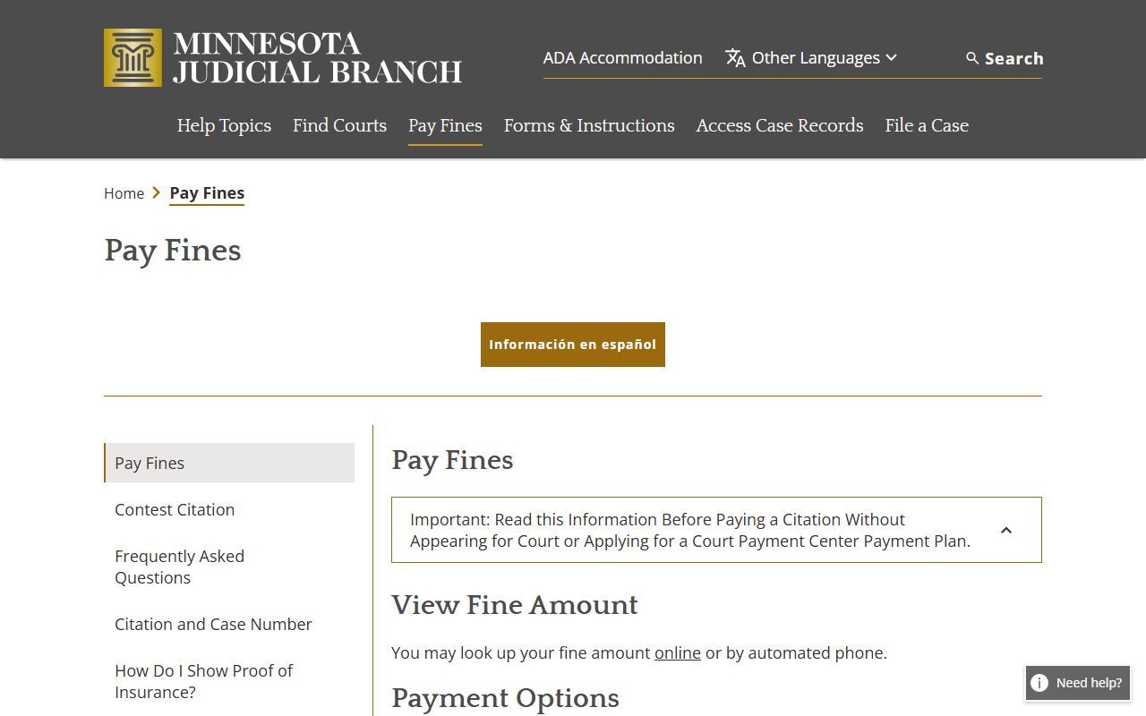Pope County traffic court records Minnesota pay a fine page